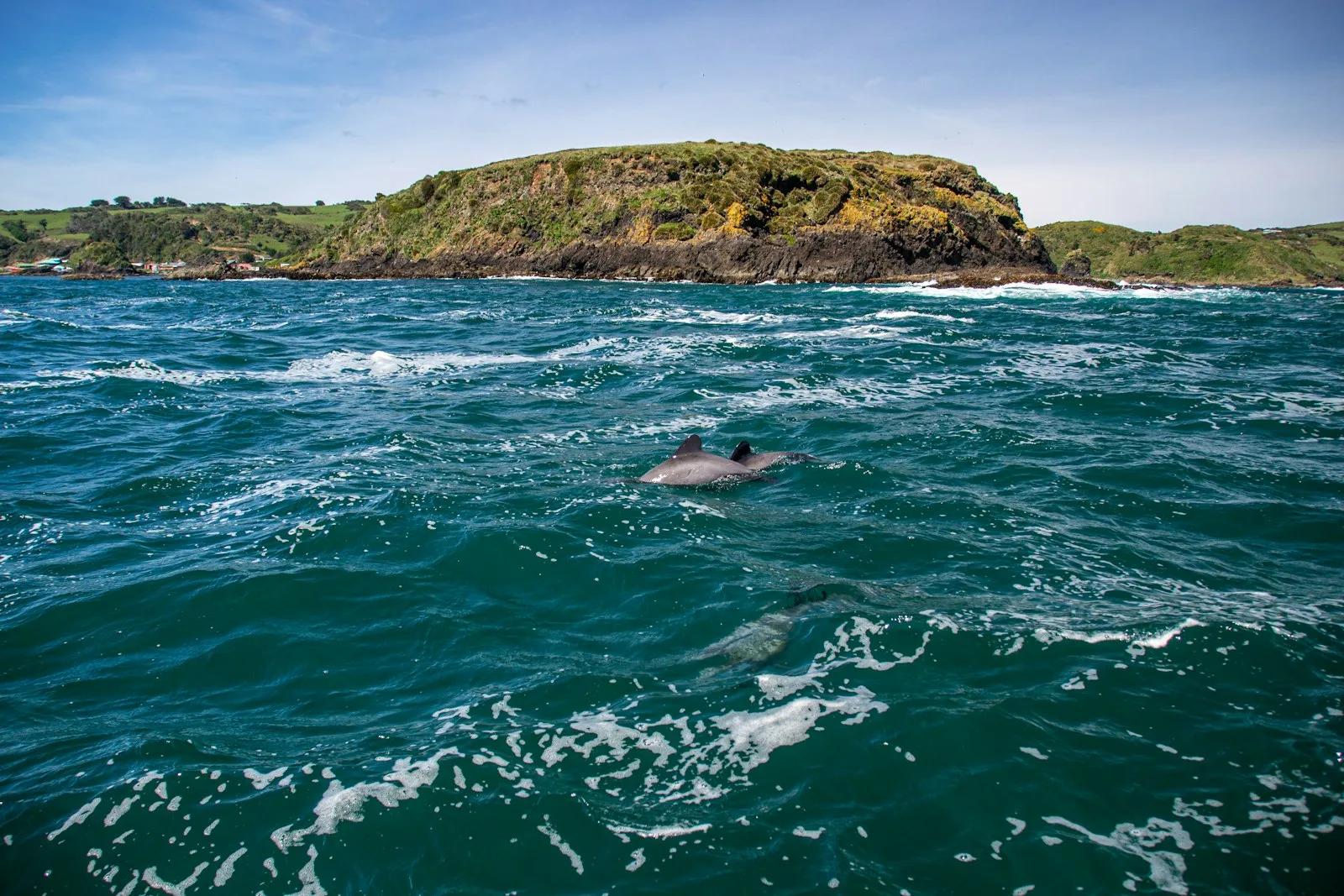 Chiloé