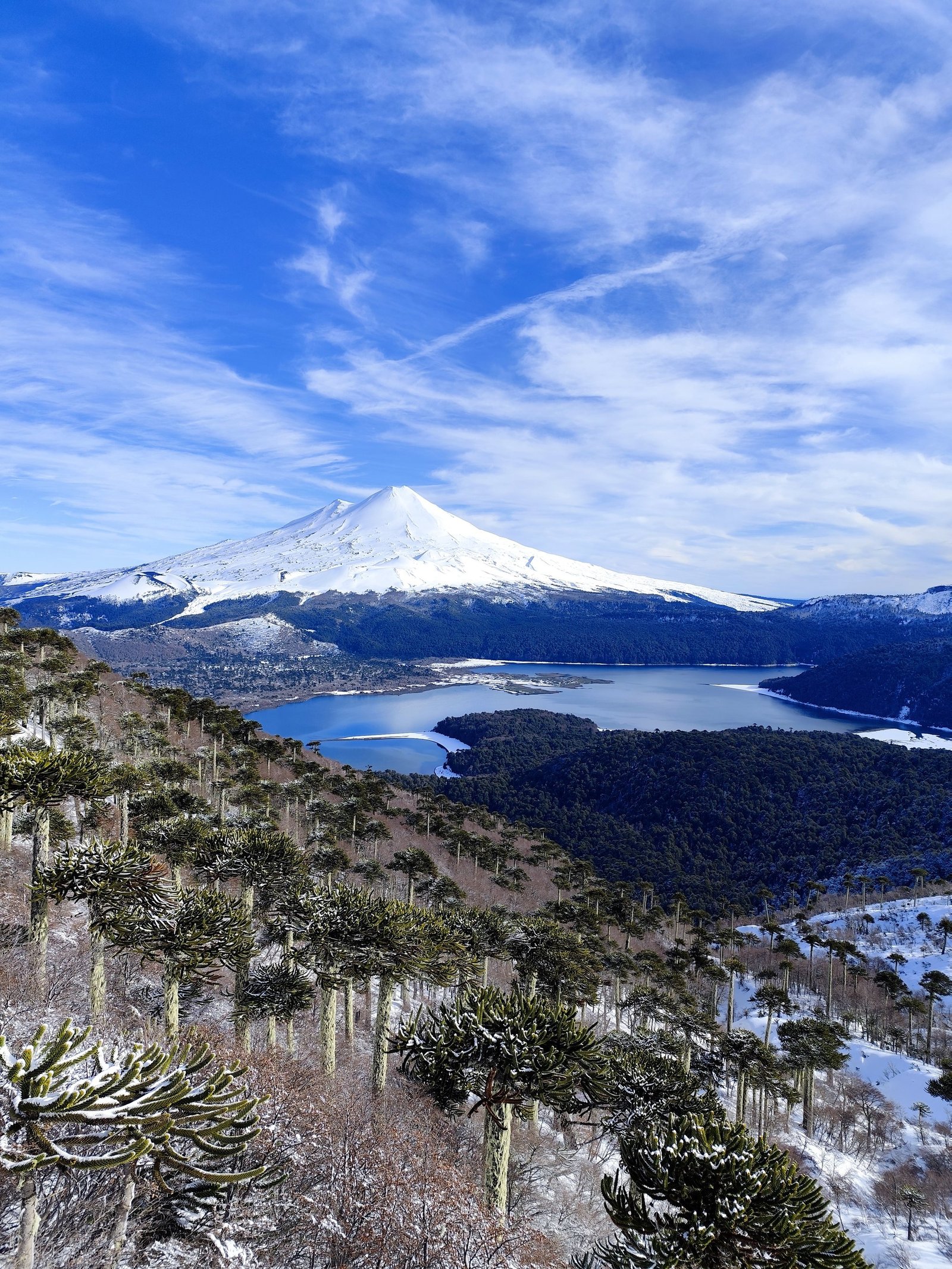trekking-sierra-nevada-en-conguillio-melipeuco-araucan-a-wildtrip