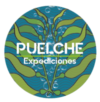 Puelche expediciones
