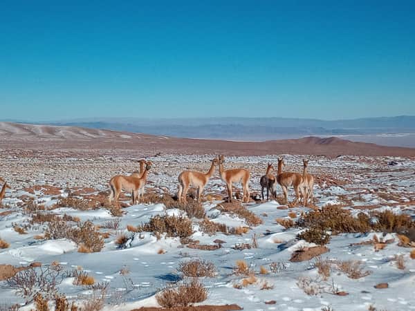 Camping Rio Magico San Pedro de Atacama, 7