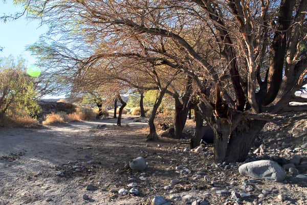 Camping Rio Magico San Pedro de Atacama,