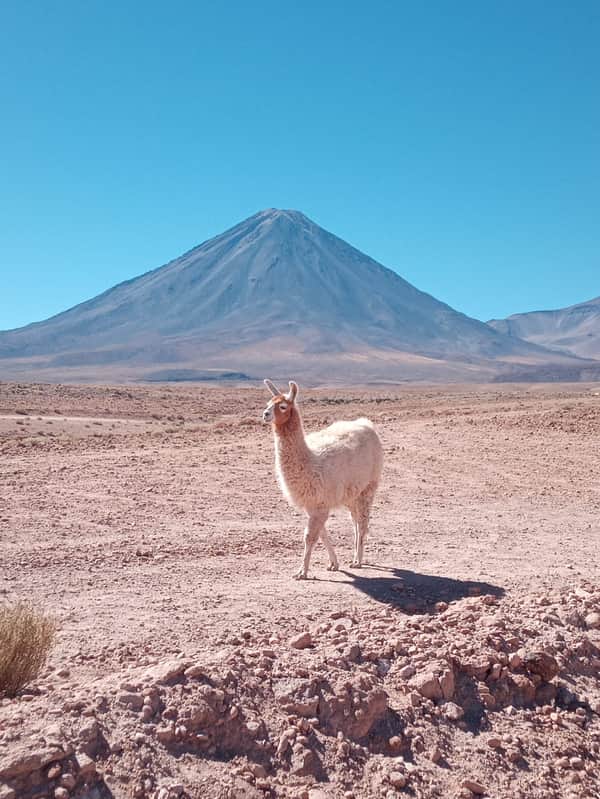 Camping Rio Magico San Pedro de Atacama, 8