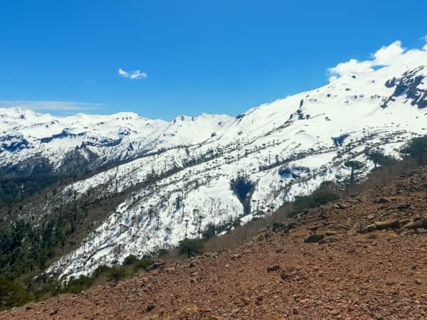 Sierra Nevada - Parque nacional Conguillio 5