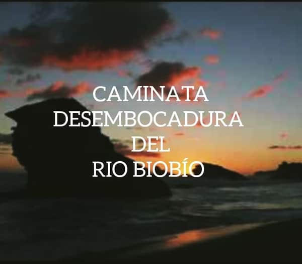 Caminata Desembocadura del río Bío Bío 12