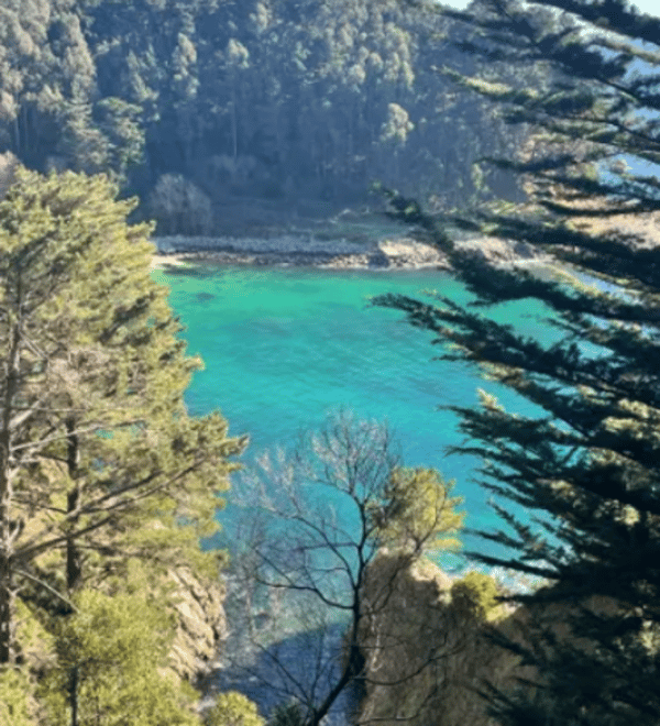 Caminata Desembocadura del río Bío Bío 11