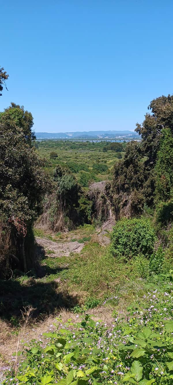 Caminata Desembocadura del río Bío Bío 4