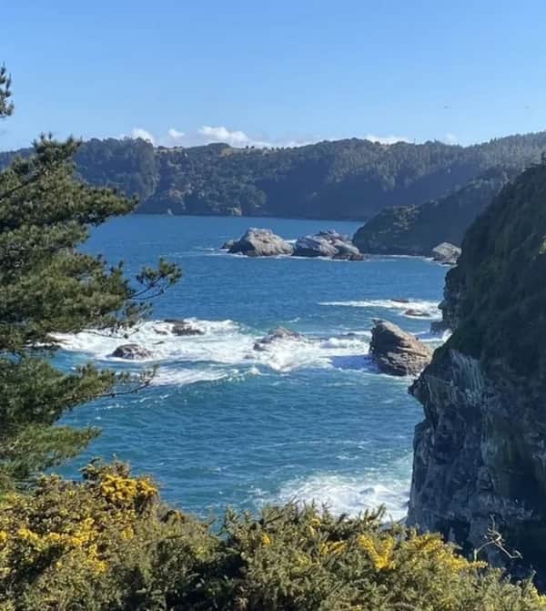 Caminata Desembocadura del río Bío Bío 7