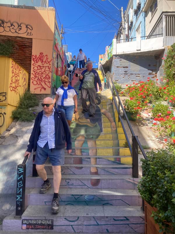 Private Valparaíso & Viña del Mar Experience: Culture, Coast & Local Insight 5