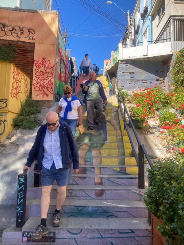 Private Valparaíso & Viña del Mar Experience: Culture, Coast & Local Insight 4