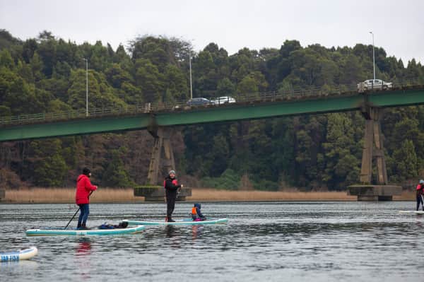 Tour AM SUP o Kayak: Santuario de la Naturaleza 9