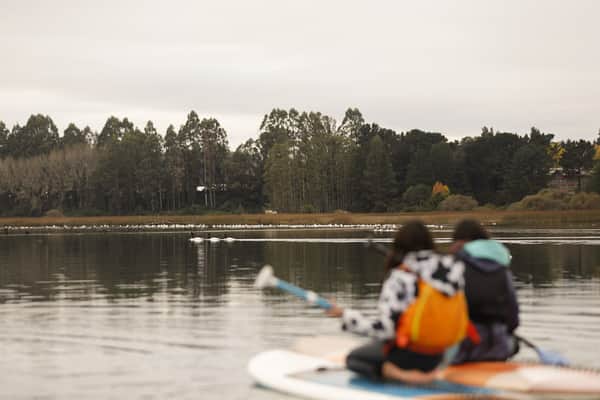 Tour AM SUP o Kayak: Santuario de la Naturaleza 8