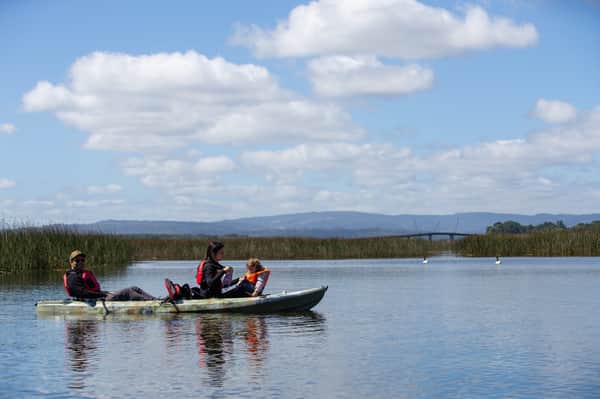 Tour AM SUP o Kayak: Santuario de la Naturaleza 6