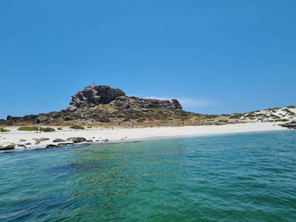 Tour Reserva Nacional Pingüino de Humboldt 4