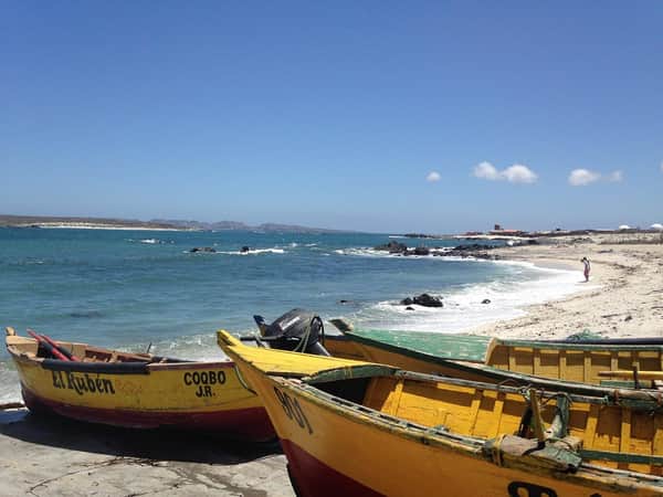 Tour Reserva Nacional Pingüino de Humboldt 2