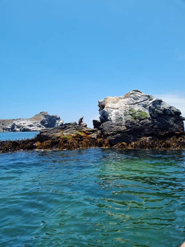 Tour Reserva Nacional Pingüino de Humboldt 5