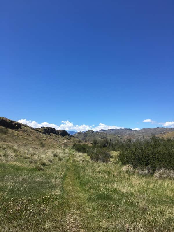 Parque Nacional Patagonia sendero "La Vega" 5