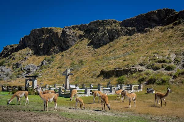 Parque Nacional Patagonia sendero "La Vega" 4