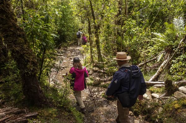 Trekking ou Cavalgada Laguna Cayutué