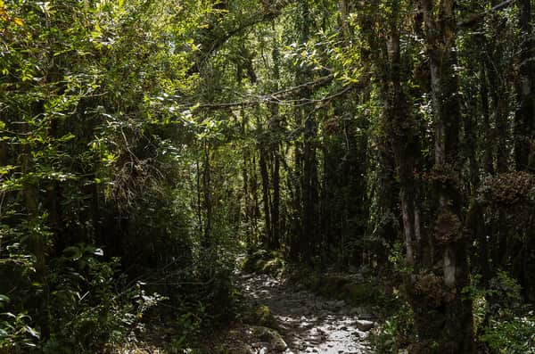 Trekking ou Cavalgada Laguna Cayutué 2