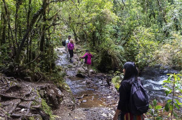 Trekking ou Cavalgada Laguna Cayutué 8