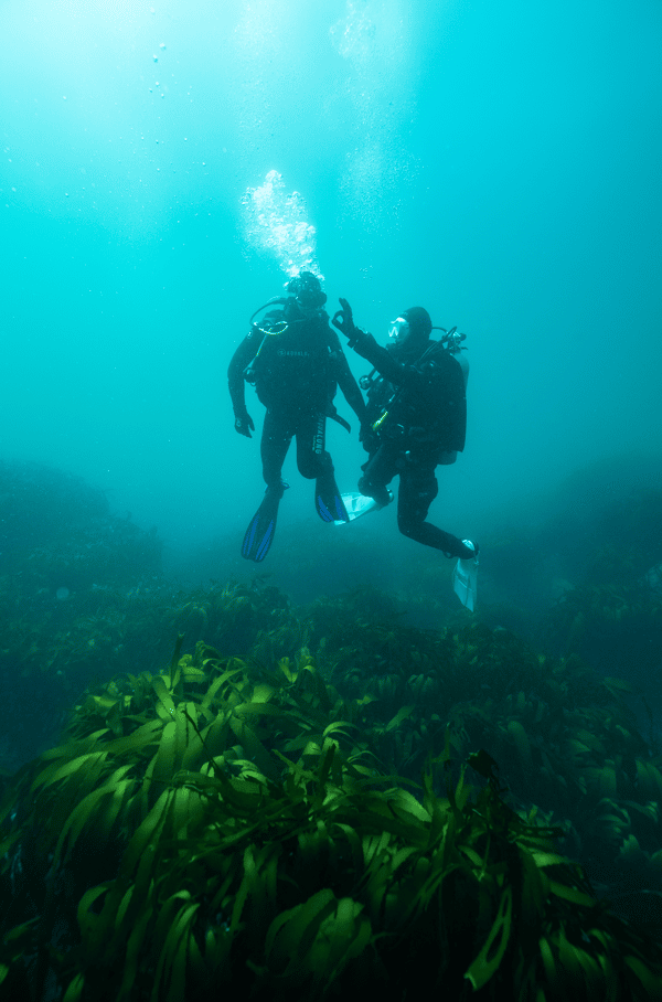 Iniciación al buceo recreativo en Caleta Huiro
