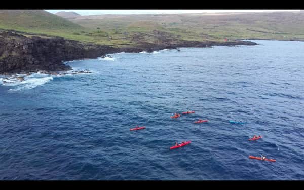 "Hanga Ho'onu – La BAHIA DE LAS TORTUGAS " 6