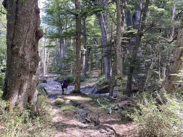 Trekking Full day “Entre Cañadones”