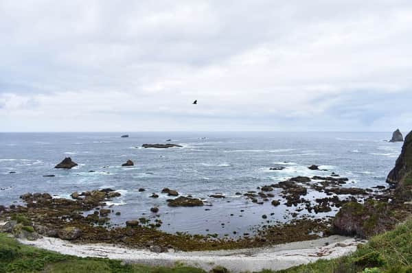 Hiking guiado En Chiloe Duhatao-Chepu-Ahuenco 5