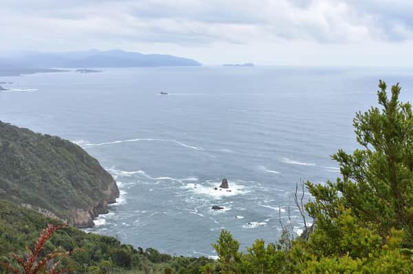 Hiking guiado En Chiloe Duhatao-Chepu-Ahuenco 3