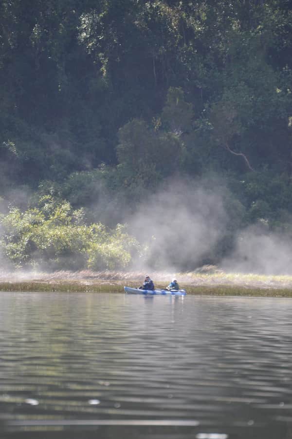 Observación de aves y flora en kayak río Cutipay 7