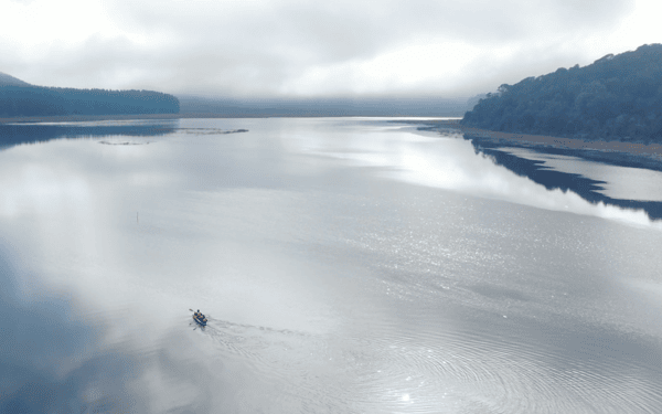 Observación de aves y flora en kayak río Cutipay 4