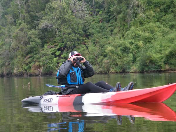 Observación de aves y flora en kayak río Cutipay 8