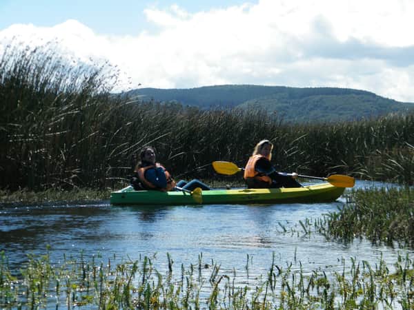 Observación de aves y flora en kayak río Cutipay 10