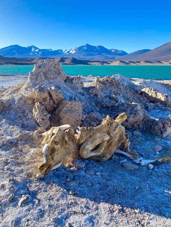 Fotografía y termas en Laguna Verde 5