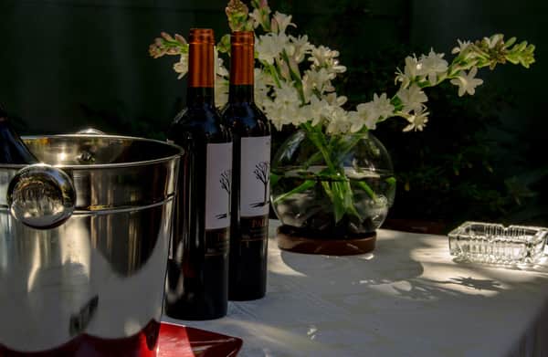 CookEx Cooking Experiences in Santiago 9