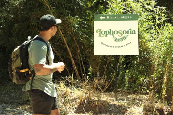 Trekking, tinaja y cerveza en bosque Valdiviano 9