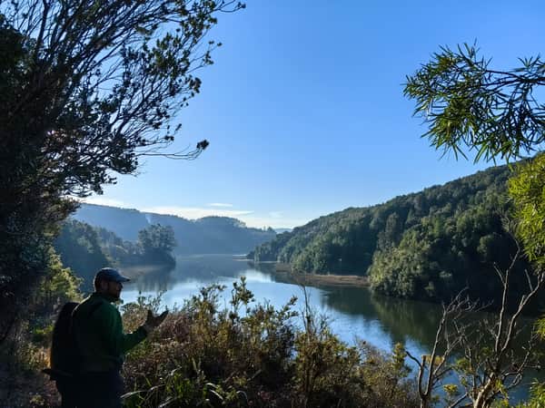 Trekking, tinaja y cerveza en bosque Valdiviano 3