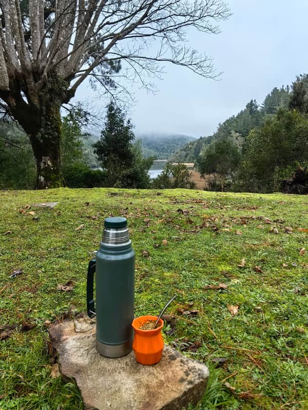 Trekking, tinaja y cerveza en bosque Valdiviano 6