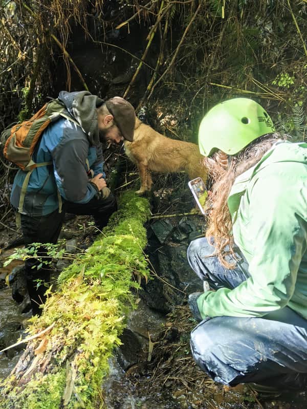 Trekking, tinaja y cerveza en bosque Valdiviano 1
