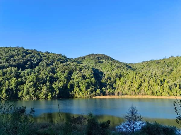 Trekking, tinaja y cerveza en bosque Valdiviano 2