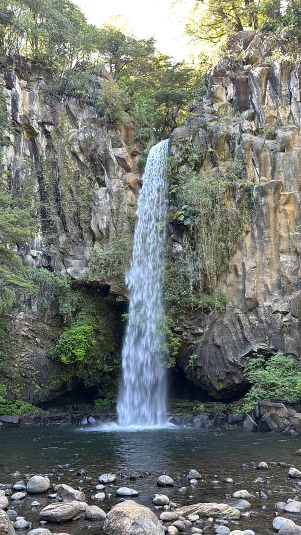 Araucanía Andina: Naturaleza y Tradición 1