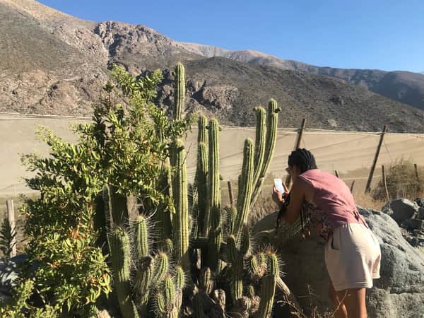 Ruta del Patrimonio Indígena en el Valle de Elqui 5