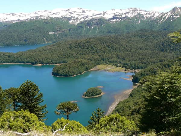 Descubra o Parque Nacional Conguillio 4
