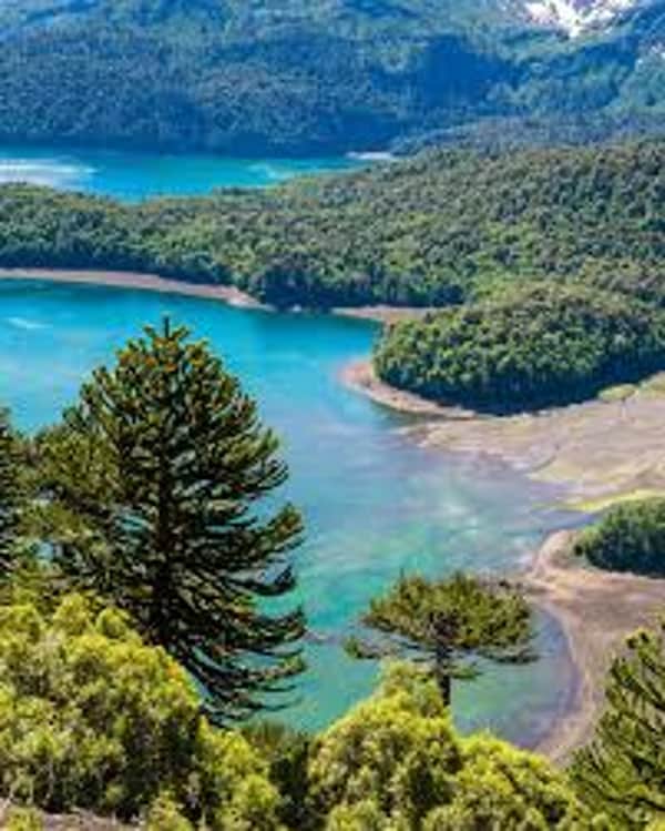 Descubra o Parque Nacional Conguillio 3