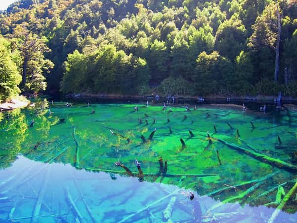 Descubra o Parque Nacional Conguillio 2