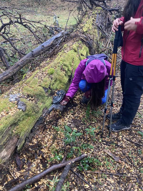  Trekking Cerro la bandera + Classroom 7