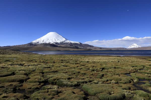 Reserva da Biosfera Lauca 8