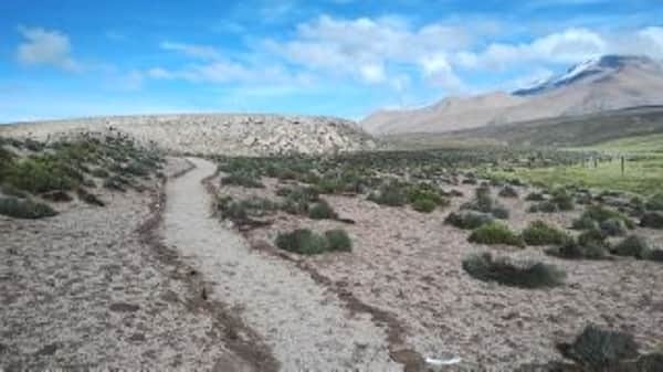Reserva da Biosfera Lauca 5