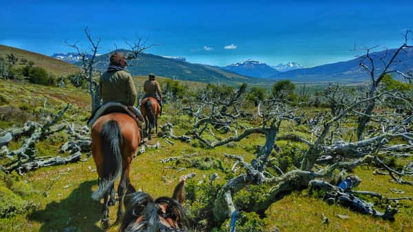 A caballo en una auténtica estancia patagonica ! 5