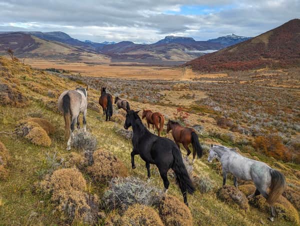 A caballo en una auténtica estancia patagonica ! 11